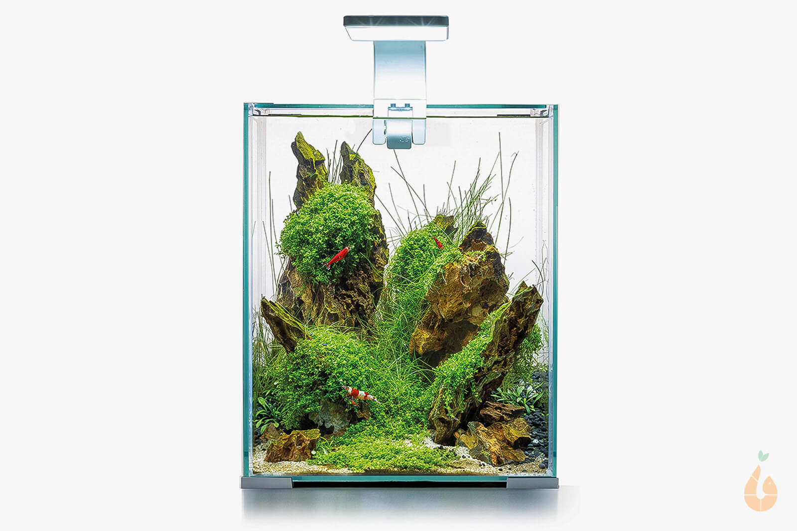 Online Aquarium komplett