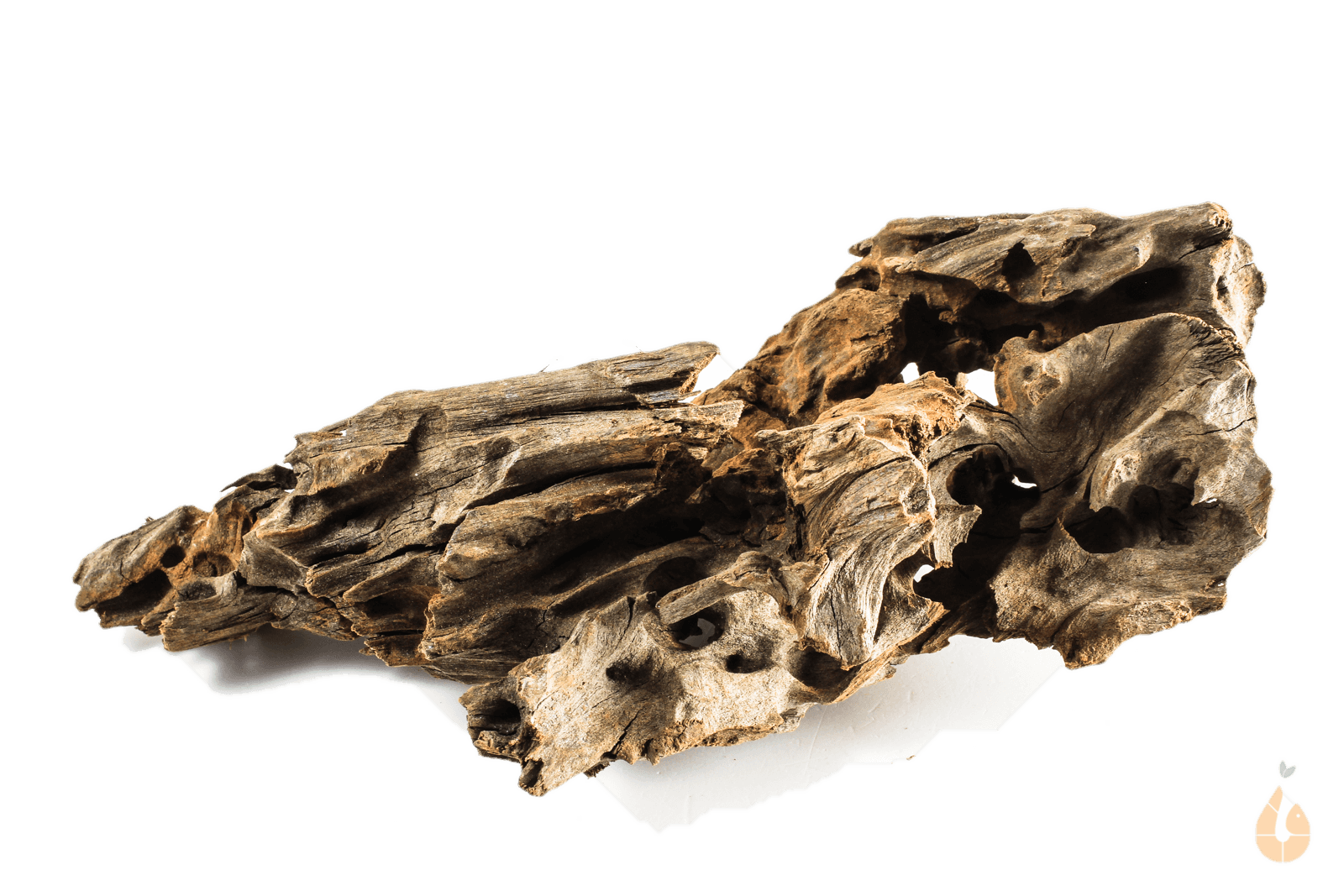 Driftwood Nr.193 | 21x7x10cm (BxHxT)